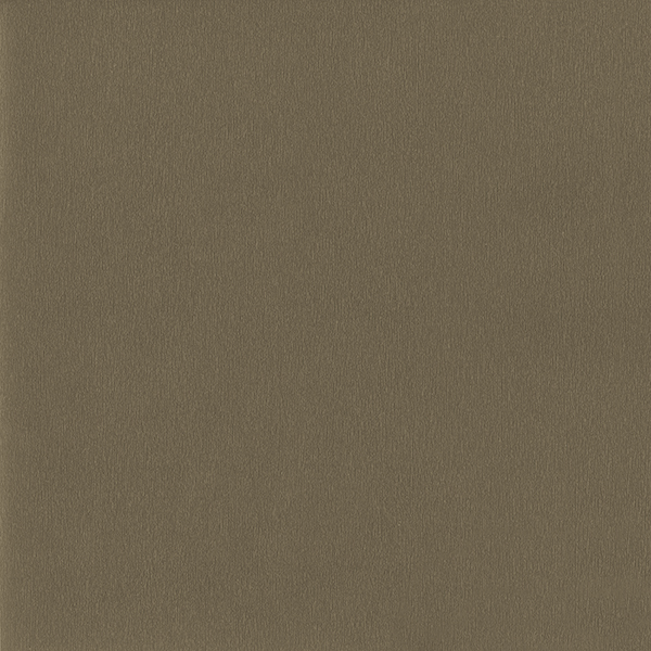 Pyrite Metallic